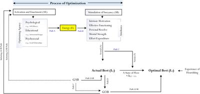 Advancing the Study of “Goals of Best Practice”: Toward Achieving Optimal Best – Educational Implications to Developments in Flow Research and Positive Optimal Psychology